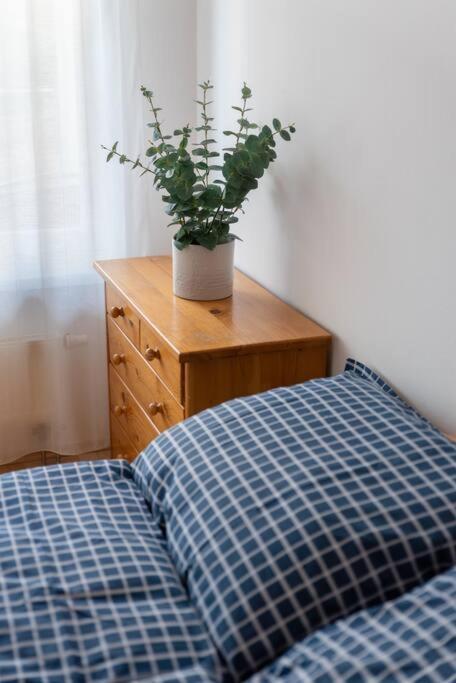 Grape Apartment Bratislava Dış mekan fotoğraf