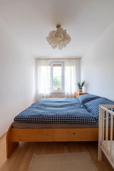 Grape Apartment Bratislava Dış mekan fotoğraf