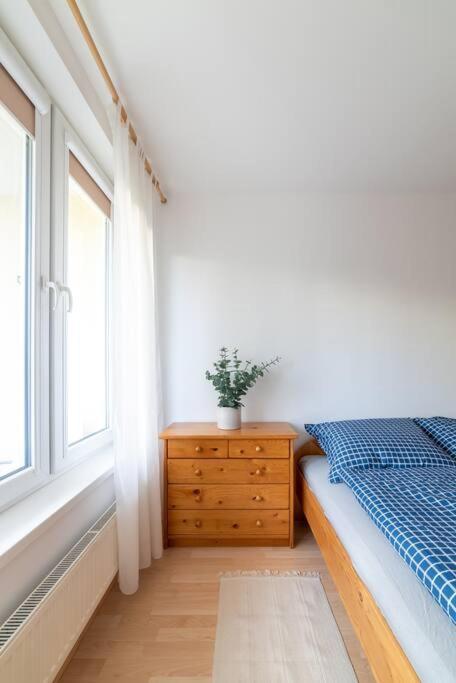 Grape Apartment Bratislava Dış mekan fotoğraf