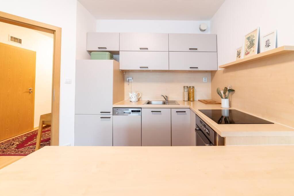 Grape Apartment Bratislava Dış mekan fotoğraf